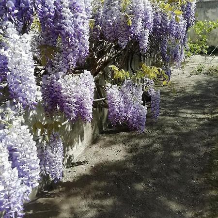 Chez Fleur Bed & Breakfast Avignon Exterior photo