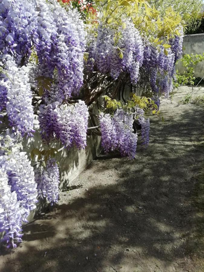 Chez Fleur Bed & Breakfast Avignon Exterior photo