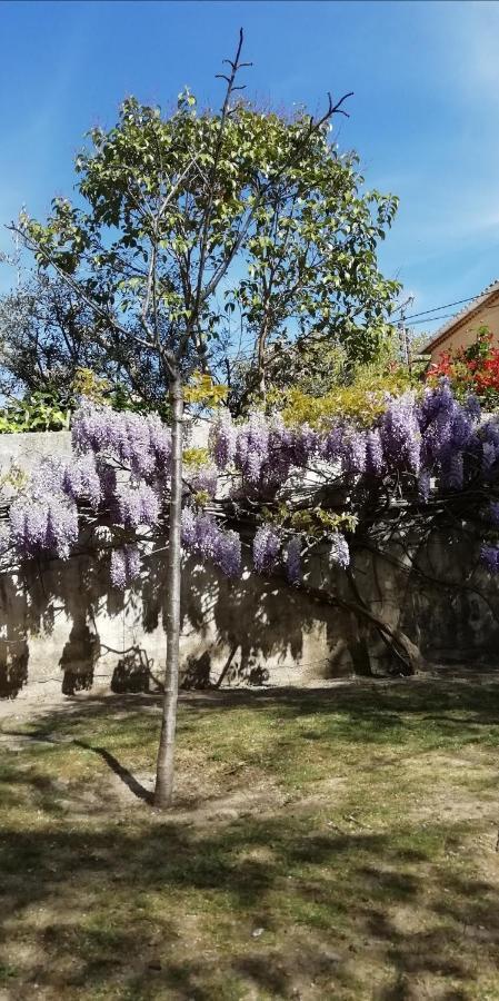 Chez Fleur Bed & Breakfast Avignon Exterior photo